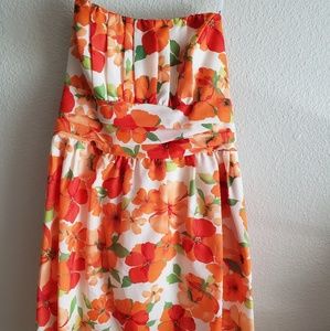 Strapless David's Bridal Dress